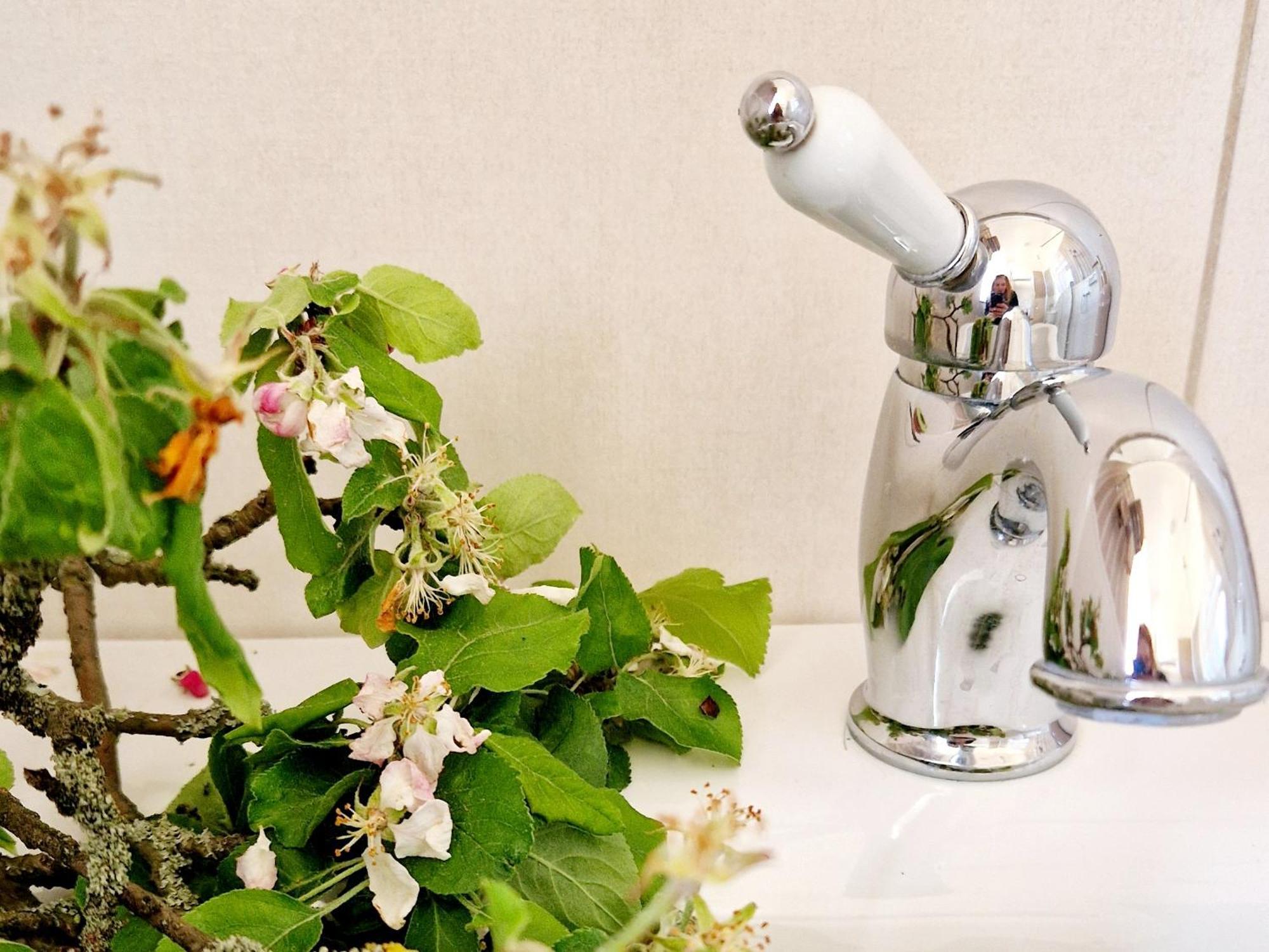 Villa Follemira Cz - Kitchen - Garden - Bike Storage Pencin Εξωτερικό φωτογραφία